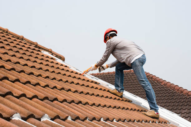 Best Gutter Replacement  in Bellevue, MI