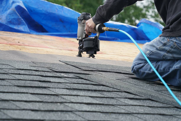 Best Emergency Roof Repair Services  in Bellevue, MI