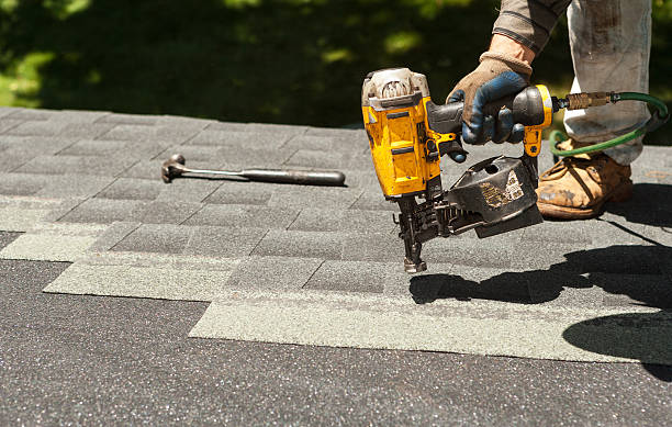 Best Roof Moss and Algae Removal  in Bellevue, MI