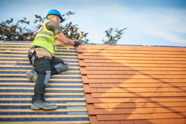 Steel Roofing in Bellevue, MI