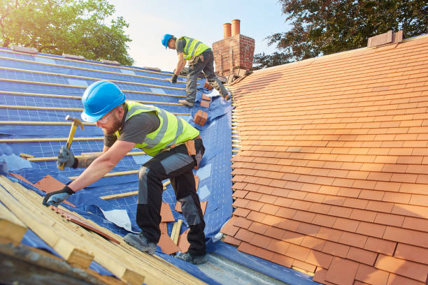 Best Roof Insulation Installation  in Bellevue, MI
